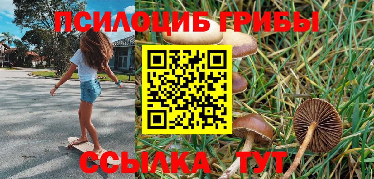 Галлюциногенные грибы Psilocybe Биробиджан