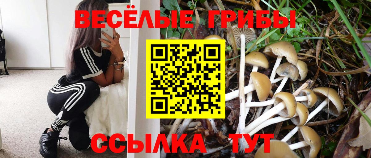 Биробиджан  Галлюциногенные грибы MAGIC MUSHROOMS  Вход с VPN  купить   Псилоцибиновые грибы Psilocybine cubensis 